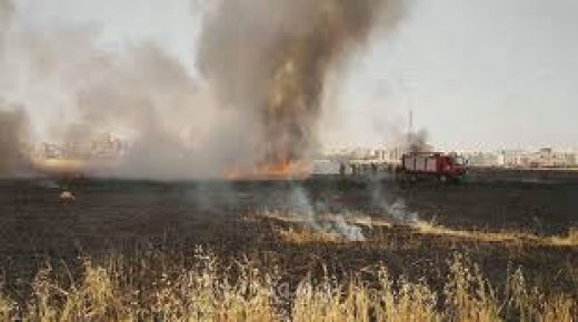 اندلاع حريق في أراض رعوية جنوب بردلة بالأغوار الشمالية