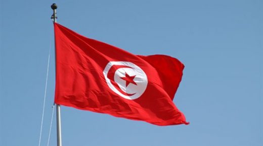 بقيادة الرئيس قيس سعيد: تونس تتابع الجهود لوقف العدوان على أبناء الشعب