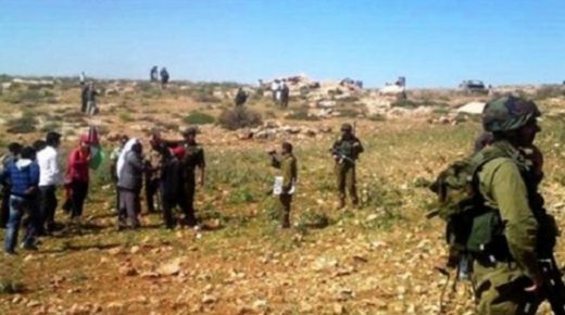 قوات الاحتلال تمنع المزارعين من حصاد أراضيهم في حمصة الفوقا