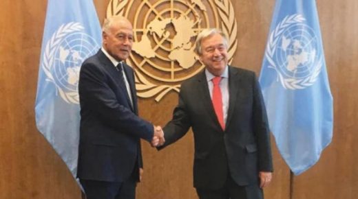 أبو الغيط يبحث مع غوتيريش مستجدات القضية الفلسطينية