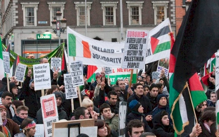 حملة إسرائيلية ضد مؤسسات أكاديمية أميركية مؤيدة للحق الفلسطيني