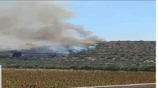 الدفاع المدني يخمد حريق 500 شجرة زيتون في جنين