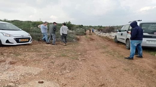 مستوطنون يسرقون 80 شتلة زيتون وجنود الاحتلال يستولون على جرار زراعي غرب سلفيت