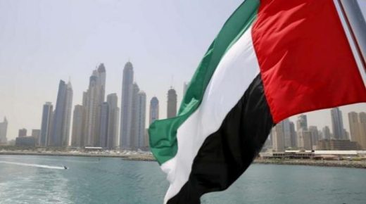 الإمارات تدعو الدول الحليفة للعمل معا لبناء درع يحمي من الطائرات المسيرة