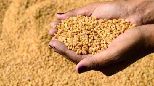 لبنان: نحاول حجز كمية كبيرة من القمح تكفي لمدة عام