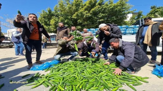 مزارعون من غزة يتلفون مزروعاتهم بعد منع “حماس” تصديرها