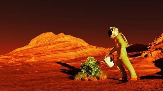 زراعة المريخ
