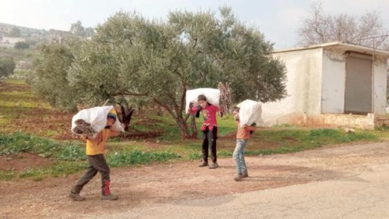 جمع الحطب في الجبال الوعرة «مصدر رزق» لأطفال سوريين نازحين