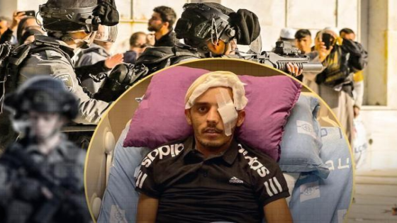 الشهيد حمزة ابو سنينة