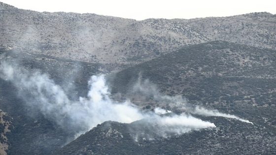 وزير الزراعة اللبناني: الجيش الإسرائيلي أحرق أكثر من 40 ألف شجرة جنوب لبنان