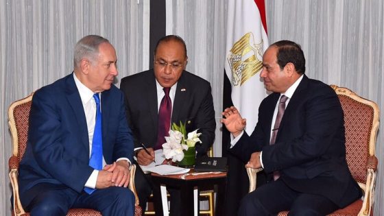 “هآريتس”: السيسي تمكن من تحقيق مكاسب على حساب نتنياهو