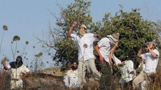 مستعمرون يهاجمون قاطفي ثمار الزيتون شرق نابلس