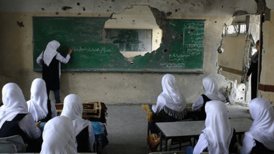 يوم المعلم الفلسطيني.. أكثر من 200 شهيد وعشرات المعتقلين من الكوادر التعليمية