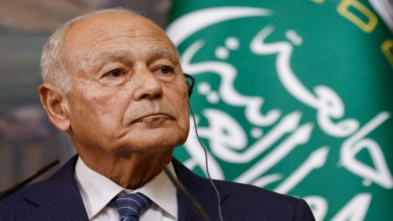 أبو الغيط: اتساع رقعة الاعتراف بالدولة الفلسطينية خطوة مهمة على طريق تجسيدها