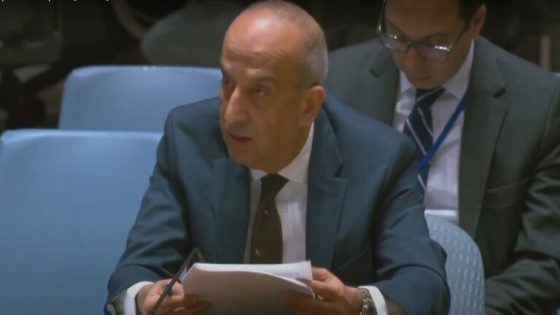 مندوب مصر لدى الأمم المتحدة: نرفض العدوان الإسرائيلي على رفح والوضع بغزة وصل إلى حد المجاعة