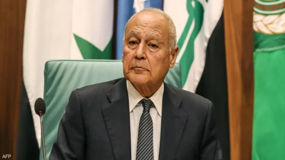 أبو الغيط يبحث مع وينسلاند مخاطر استمرار الحرب على قطاع غزة وتداعياتها على الاستقرار الإقليمي