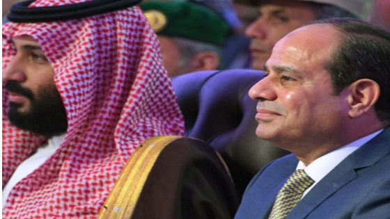 الرئيس المصري وولي العهد السعودي يطالبان بوقف العدوان على غزة والتصعيد في الضفة