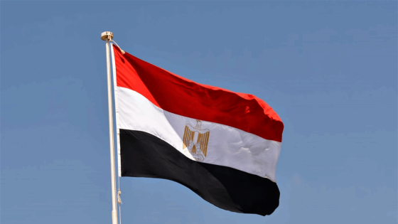 مصر تحذر من خطورة التوغل العسكري الإسرائيلي في لبنان وتدعو إلى وقف إطلاق النار بغزة