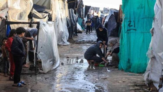 451 يوما للحرب على فلسطين