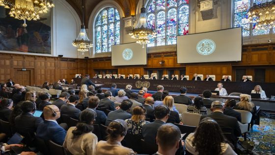 Public hearings in the case South Africa v. Israel
