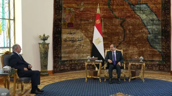 السيسي يؤكد ضرورة خروج القوات الأجنبية والمرتزقة من ليبيا