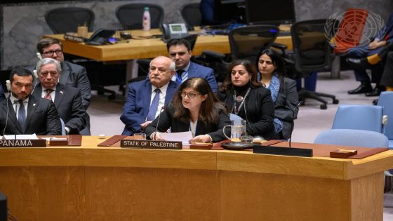 شاهين أمام مجلس الأمن: دولة فلسطين هي صاحبة الولاية القانونية والسياسية على قطاع غزة وكافة الأرض الفلسطينية المحتلة منذ عام 1967