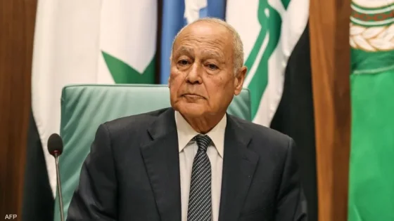 أبو الغيط: القضية الفلسطينية تتعرض لأخطر تهديد في تاريخها