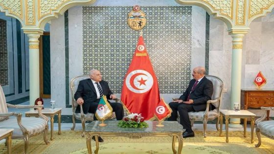 وزيرا خارجية تونس والجزائر يدعوان لوقف العدوان على غزة وحماية شعبنا