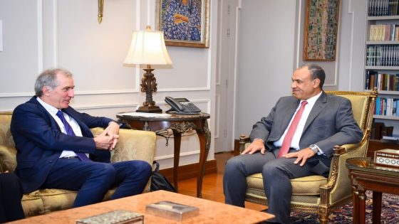 وزير الخارجية المصري: الاعتراف بدولة فلسطين السبيل الوحيد لتحقيق السلام والأمن في المنطقة