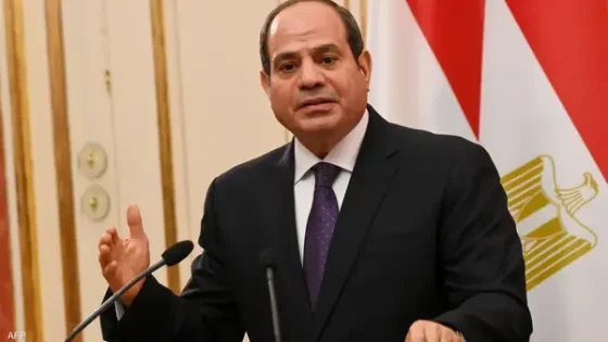 السيسي يؤكد حتمية عودة الملاحة في البحر الأحمر إلى طبيعتها