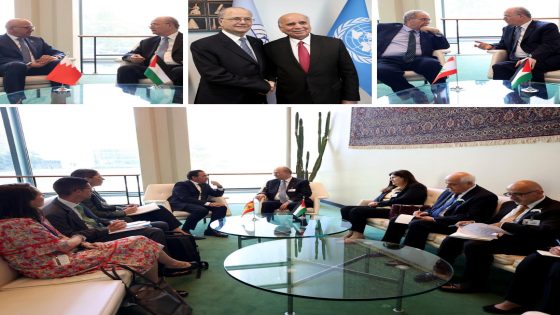 مصطفى يلتقي عددا من رؤساء الوفود المشاركة في مؤتمر التسوية السلمية لقضية فلسطين وتطبيق حل الدولتين