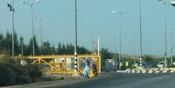 قلقيلية- إصابة طالبة فلسطينية بذريعة محاولة الطعن