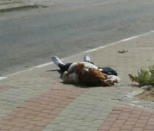 بحجة محاولتها الطعن- شهيدة برصاص الاحتلال جنوب نابلس