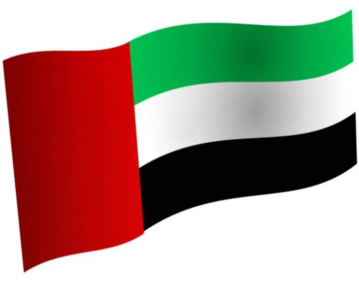 الأمم المتحدة: الإمارات انتهكت حظر تصدير الأسلحة إلى ليبيا