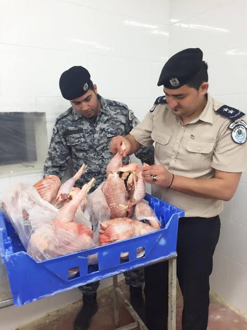 بالصور لجنة السلامة العامة في طولكرم تتلف 15 طن من الدجاج غير مطابق للمواصفات