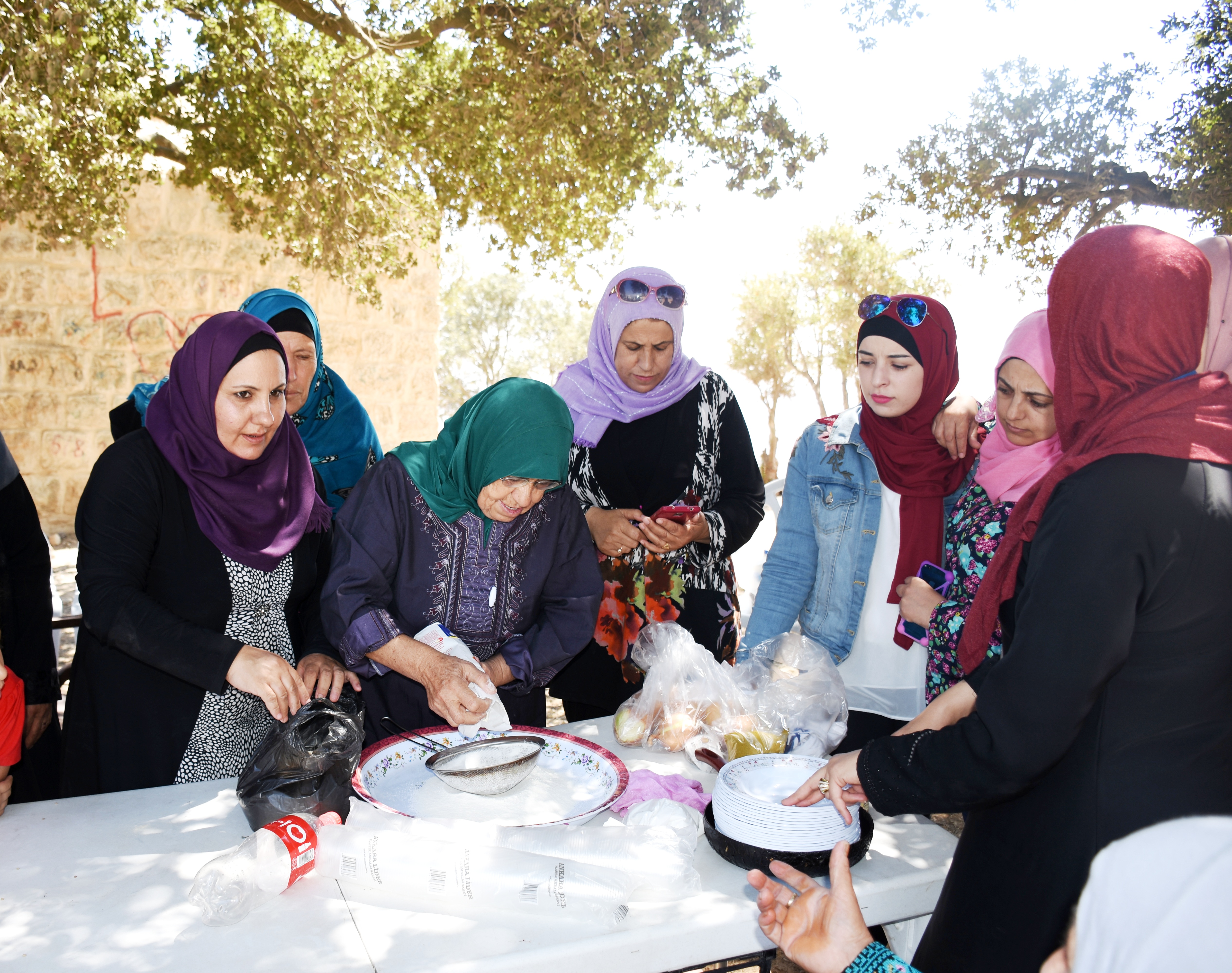 محافظة سلفيت ووكالة الغوث تنظمان يوم ترفيهي للمسنات  في منطقة ” طاروجه”