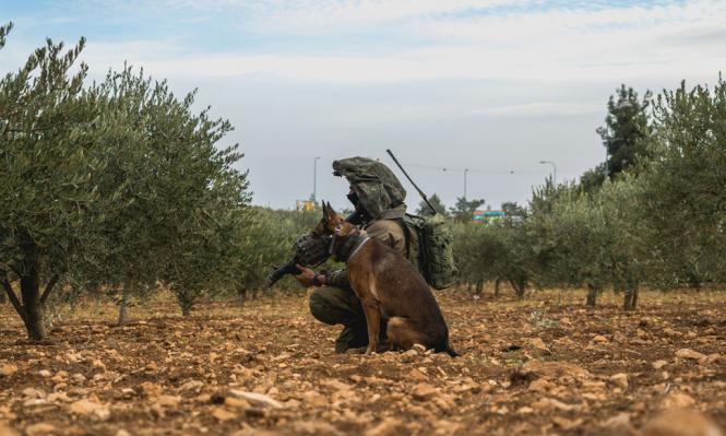 تدريبات عسكرية إسرائيلية خاصة في قبرص