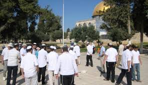 اقتحامات جديدة للأقصى ودعوات لمسيرة استفزازية في القدس العتيقة
