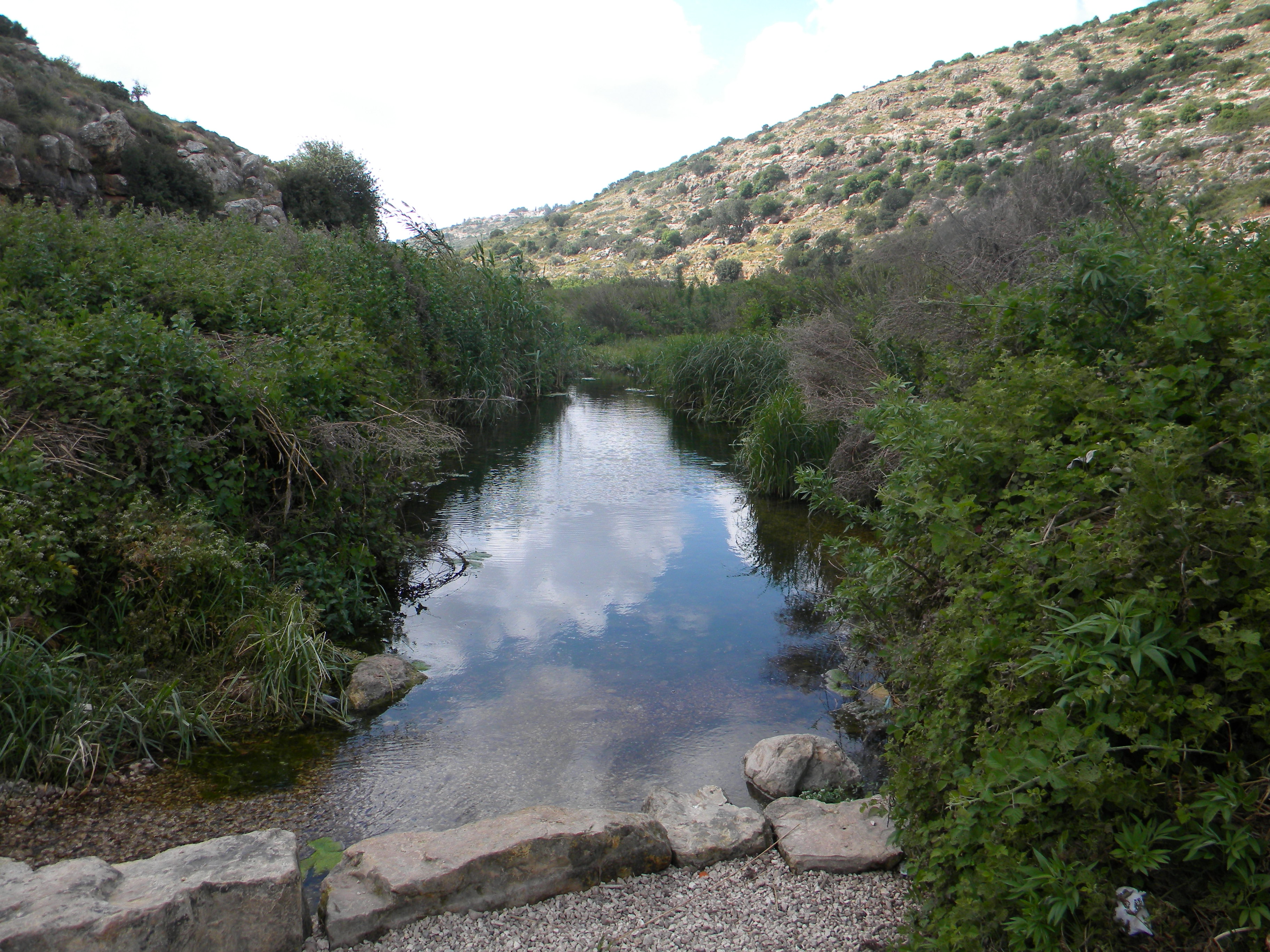 المياه العادمة لمستوطنتي “عمانوئيل” و”يكير” تلوث مياه وادي قانا
