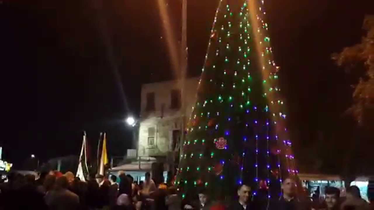اضاءة شجرة الميلاد في اريحا
