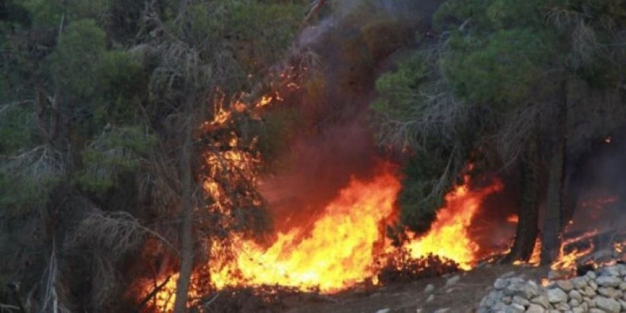 النيران تشتعل في مئات الدونمات الزراعية في بلدة الخضر