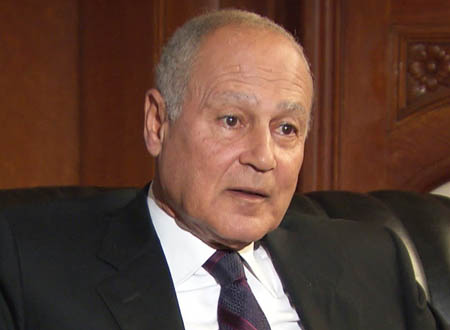 أبو الغيط يحيّي الدول الإفريقية لوقوفها مع فلسطين بالمحافل الدولية ودعمها لقرارات الأمم المتحدة