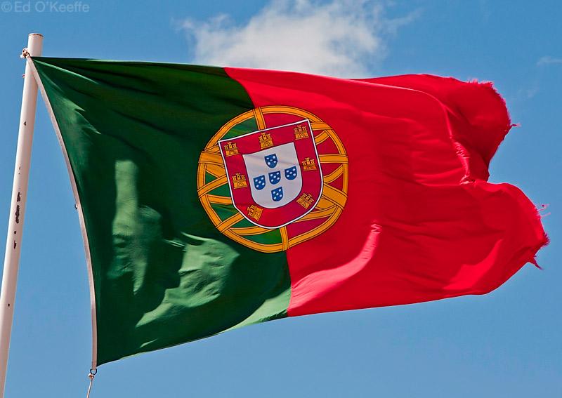 البرلمان البرتغالي يدين قرار الاعتراف بالقدس عاصمة لدولة الاحتلال الإسرائيلي