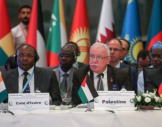 المالكي: الجمعية العامة للأمم المتحدة تواصل اعتماد قرارات لصالح فلسطين