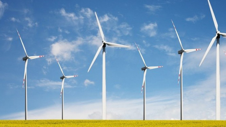 الدنمارك تولد الكهرباء عبر طاقة الرياح ليوم واحد