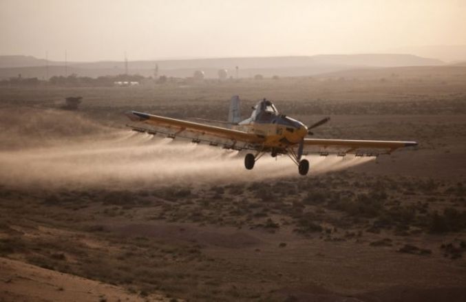 الاحتلال يرش مبيدات ويطلق النار على غزة