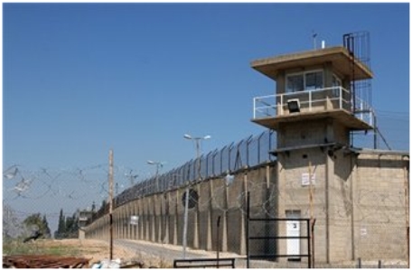 الاحتلال يمدد اعتقال الأسيرة بريوش رغم قرار سابق بالإفراج عنها