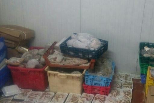ضبط 3 أطنان لحم حبش ممنوع من التداول في محافظة الخليل