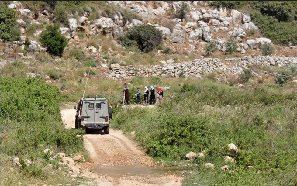 سلفيت: الاحتلال يواصل تجريف أراضي محمية وادي قانا لليوم الثالث